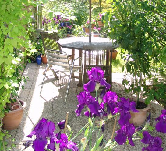 Bienvenue dans mon jardin
