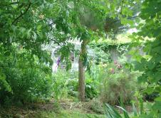 Bienvenue dans mon jardin/Aponia Villiers sur Marne